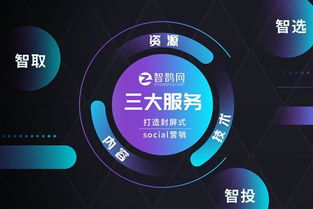 智鵲網 定制專屬微表單，助力企業完成精準營銷